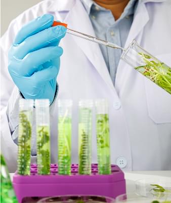 Advanced biochemical and bioterrain strategies.