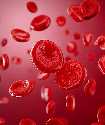 Advanced insights into lymphatic function, and fascia regulation.